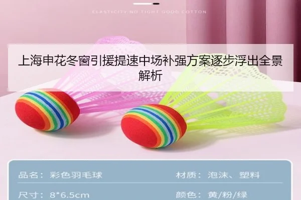 上海申花冬窗引援提速中场补强方案逐步浮出全景解析